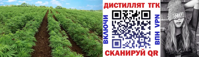 ТГК THC oil  Котовск 
