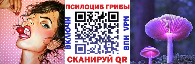 ОМГ ОМГ   Котовск  Галлюциногенные грибы Magic Shrooms 